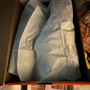 Womens Nike Air Zoom Pegasus 34